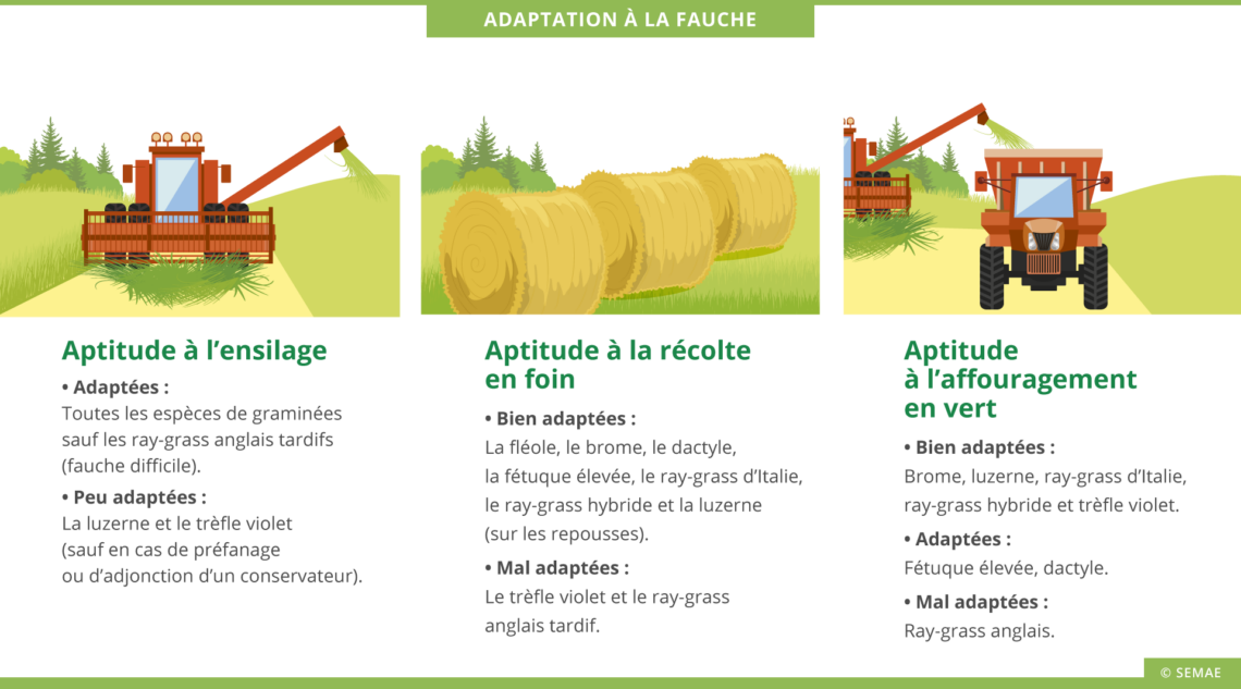 Choix des espèces fourragères