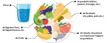 Les bases d'une alimentation équilibrée
